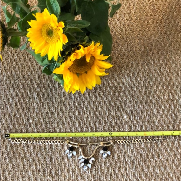 BaubleBar necklace - Picture 4 of 5